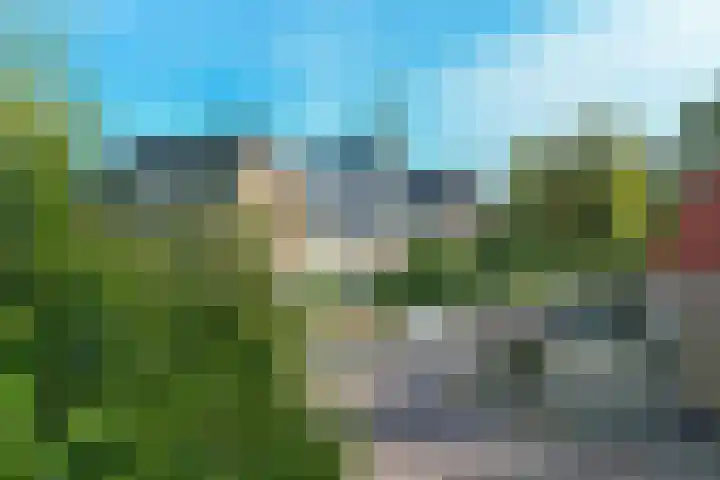 Vondellaan 63 Arnhem thumbnail 43