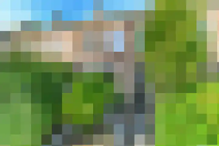 Vondellaan 63 Arnhem thumbnail 5