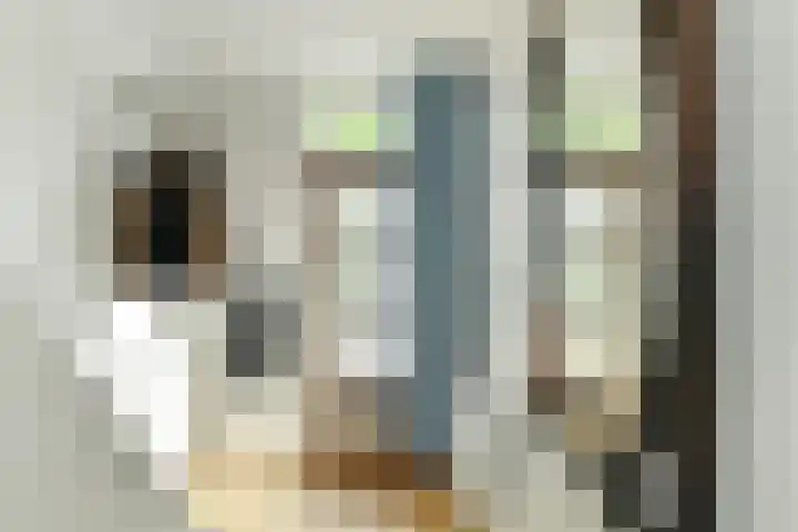 Vondellaan 63 Arnhem thumbnail 8