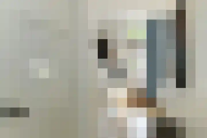 Vondellaan 63 Arnhem thumbnail 9
