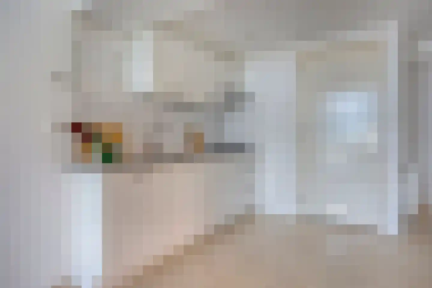 Vondellaan 67 c Groningen thumbnail 7