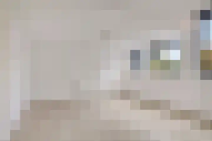 Vondellaan 67 e Groningen thumbnail 5