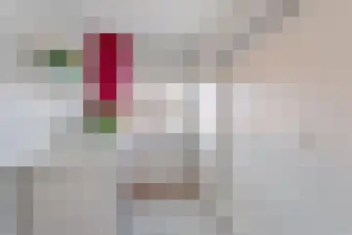 Vondellaan 67 Oldenzaal thumbnail 15