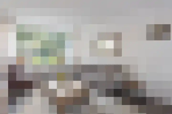 Vondellaan 67 Oldenzaal thumbnail 6