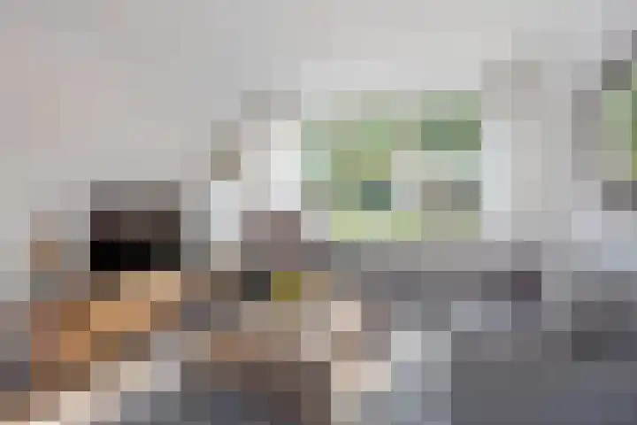 Vondellaan 67 Oldenzaal thumbnail 7