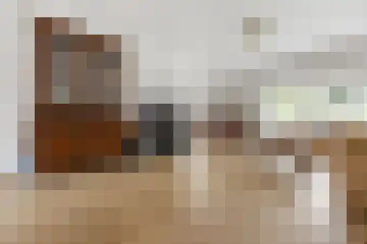 Vondellaan 7 Arnhem thumbnail 14