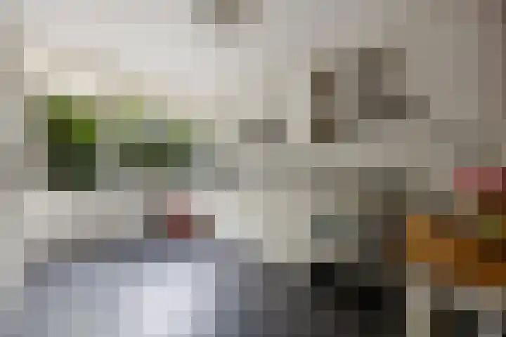Vondellaan 7 Arnhem thumbnail 15