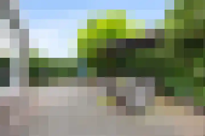 Vondellaan 7 Arnhem thumbnail 19