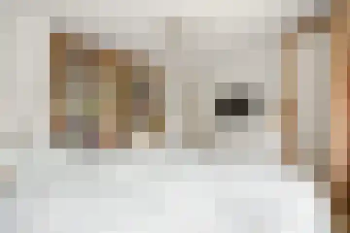 Vondellaan 7 Arnhem thumbnail 21