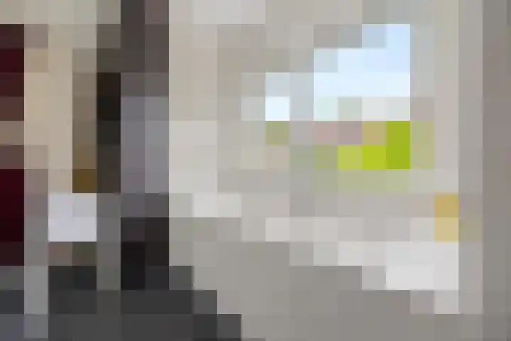 Vondellaan 7 Arnhem thumbnail 26