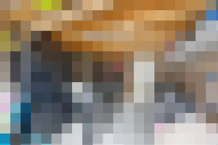 Vondellaan 7 Arnhem thumbnail 39