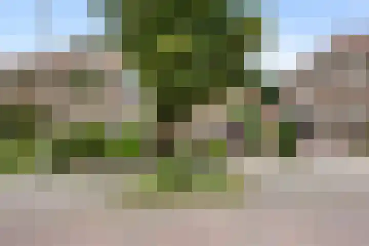 Vondellaan 7 Arnhem thumbnail 43