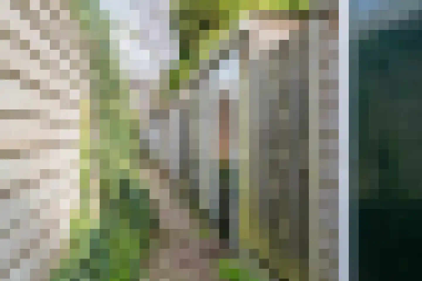 Vondellaan 7 BS Utrecht thumbnail 45