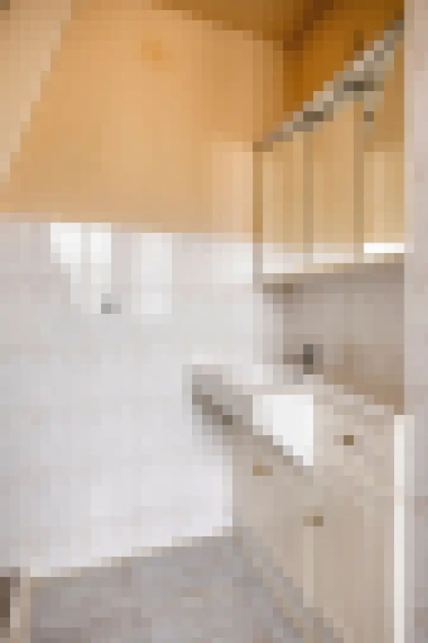 Vondellaan 7 Eindhoven thumbnail 28