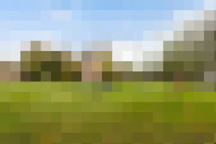 Vondellaan 7 IJsselstein thumbnail 44