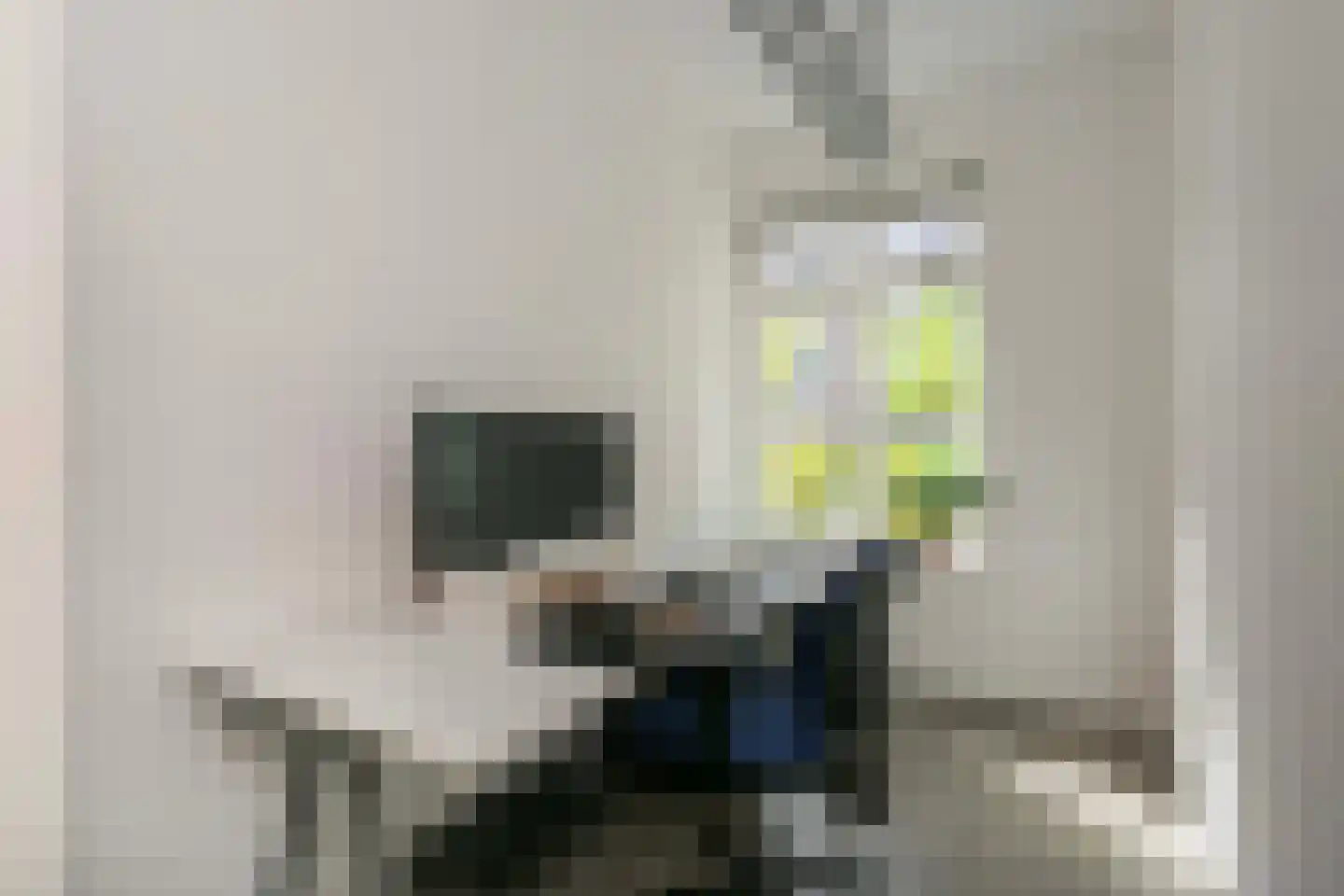 Vondellaan 7 Utrecht thumbnail 13
