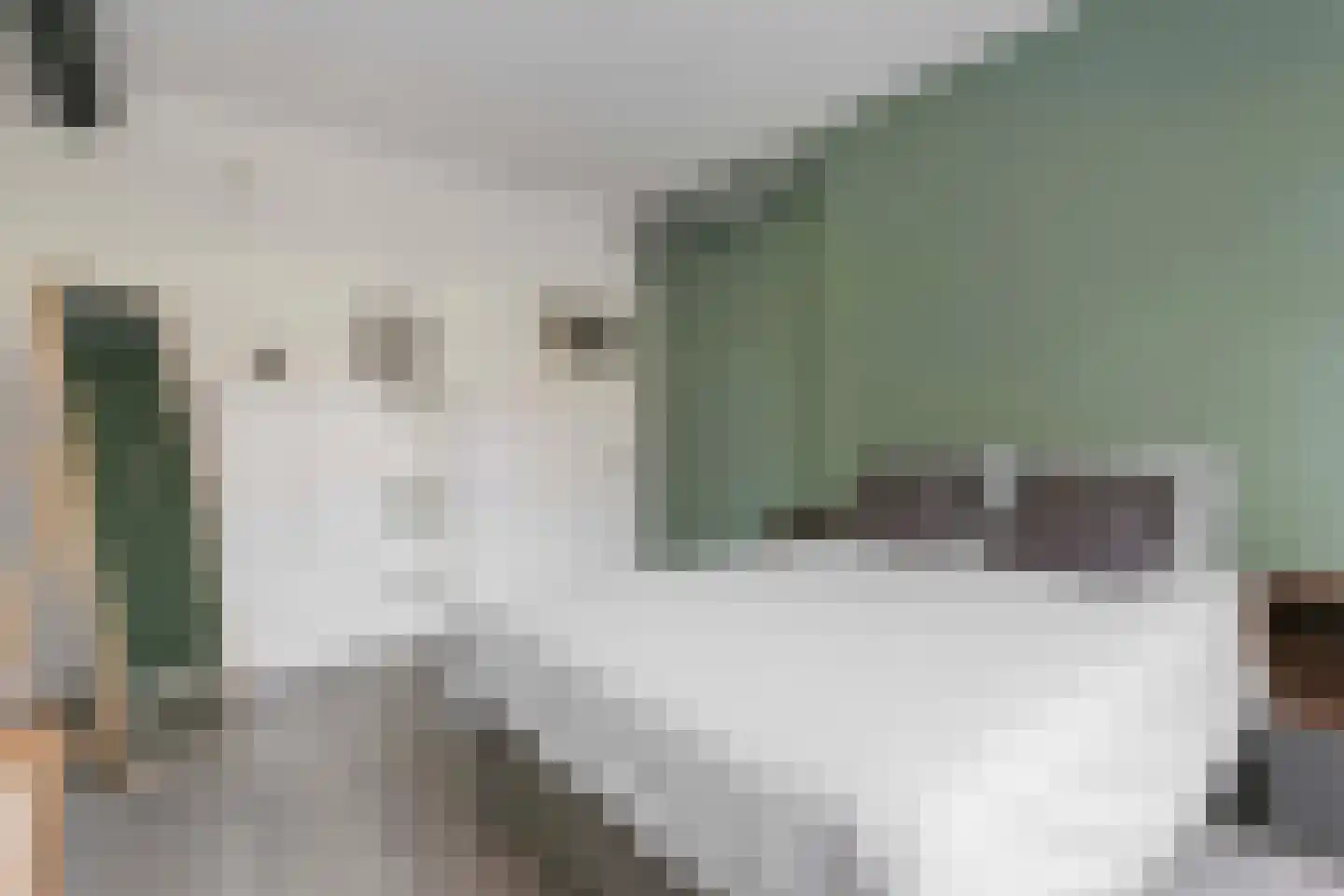 Vondellaan 7 Utrecht thumbnail 14