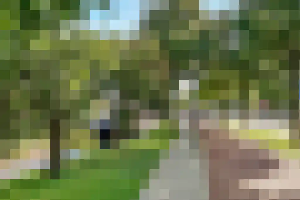 Vondellaan 7 Utrecht thumbnail 26