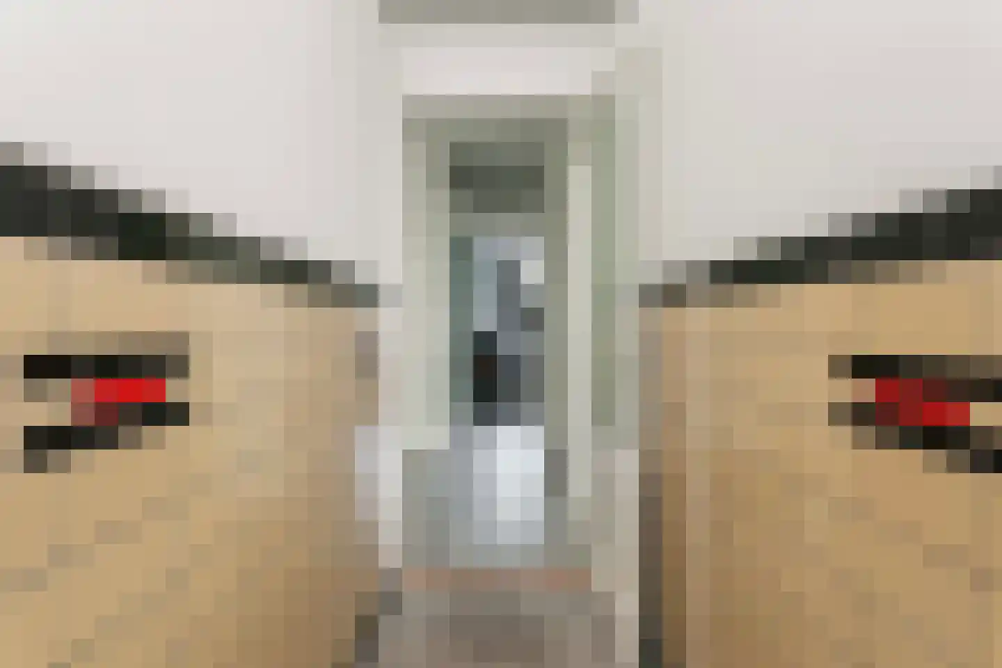 Vondellaan 7 Utrecht thumbnail 7