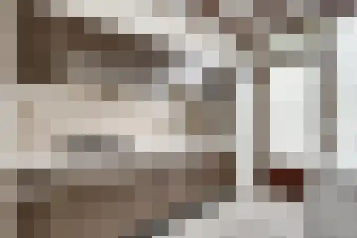 Vondellaan 7 Zevenaar thumbnail 22