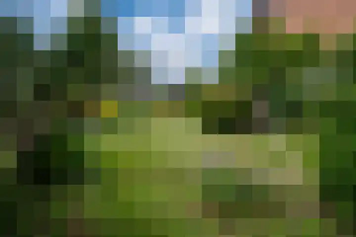 Vondellaan 7 Zevenaar thumbnail 7
