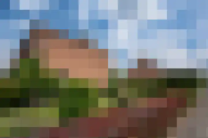 Vondellaan 7 Zevenaar thumbnail 8