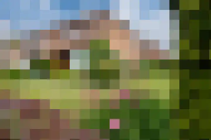 Vondellaan 7 Zevenaar thumbnail 9