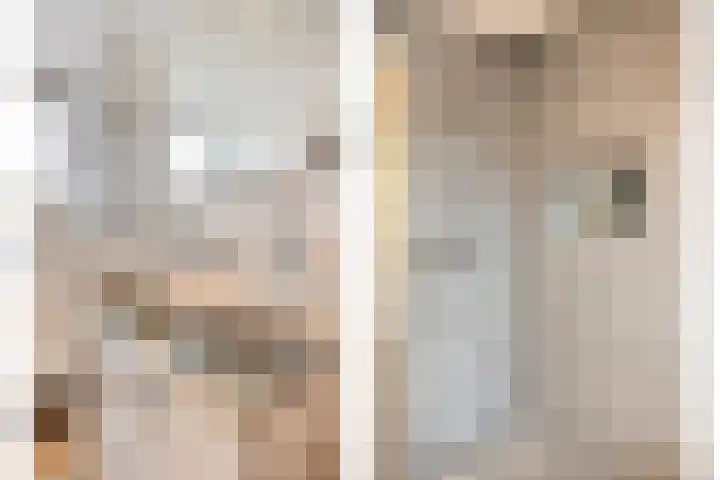 Vondellaan 70 Groningen thumbnail 17