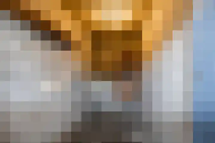 Vondellaan 70 Groningen thumbnail 35