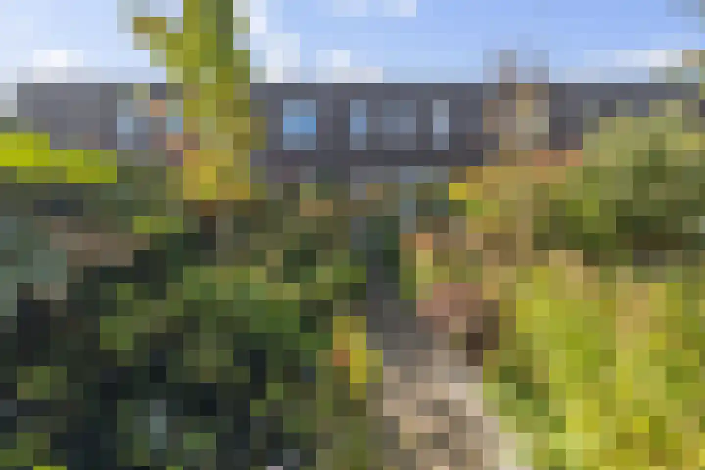 Vondellaan 71 A Winschoten thumbnail 26