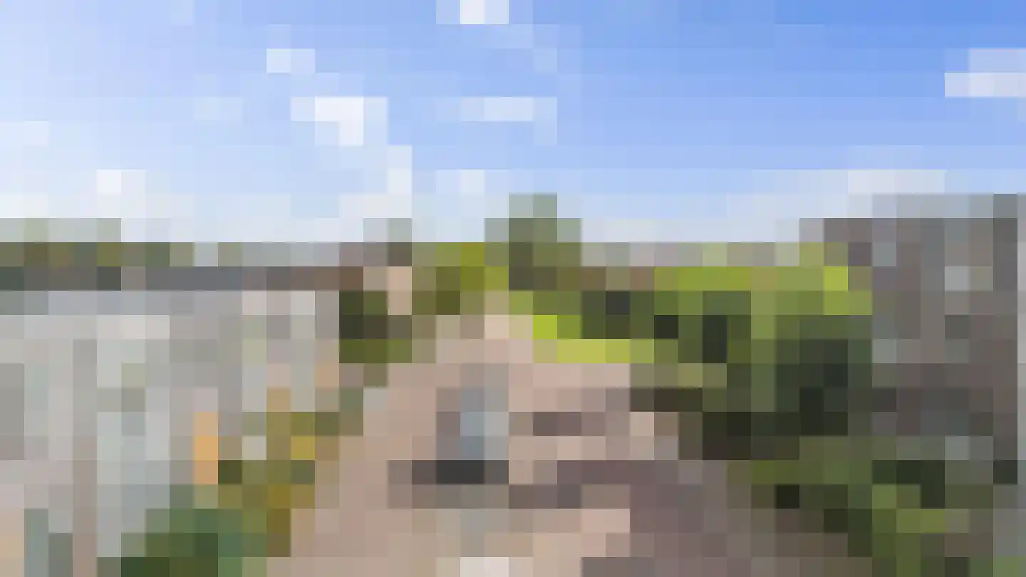 Vondellaan 71 A Winschoten thumbnail 34