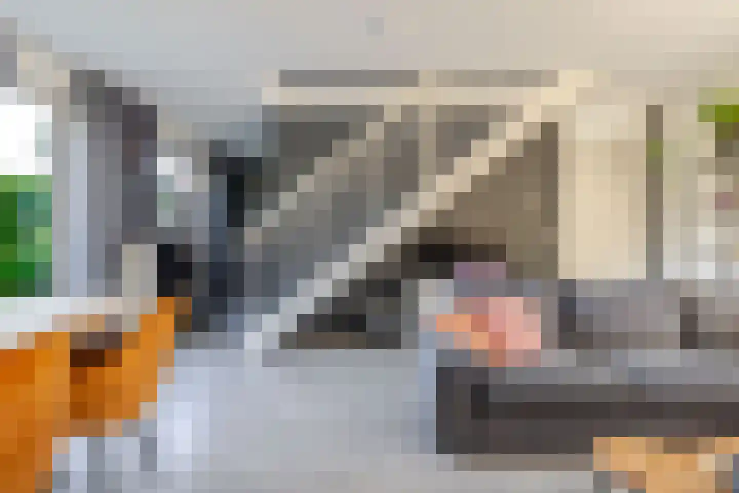 Vondellaan 71 A Winschoten thumbnail 8