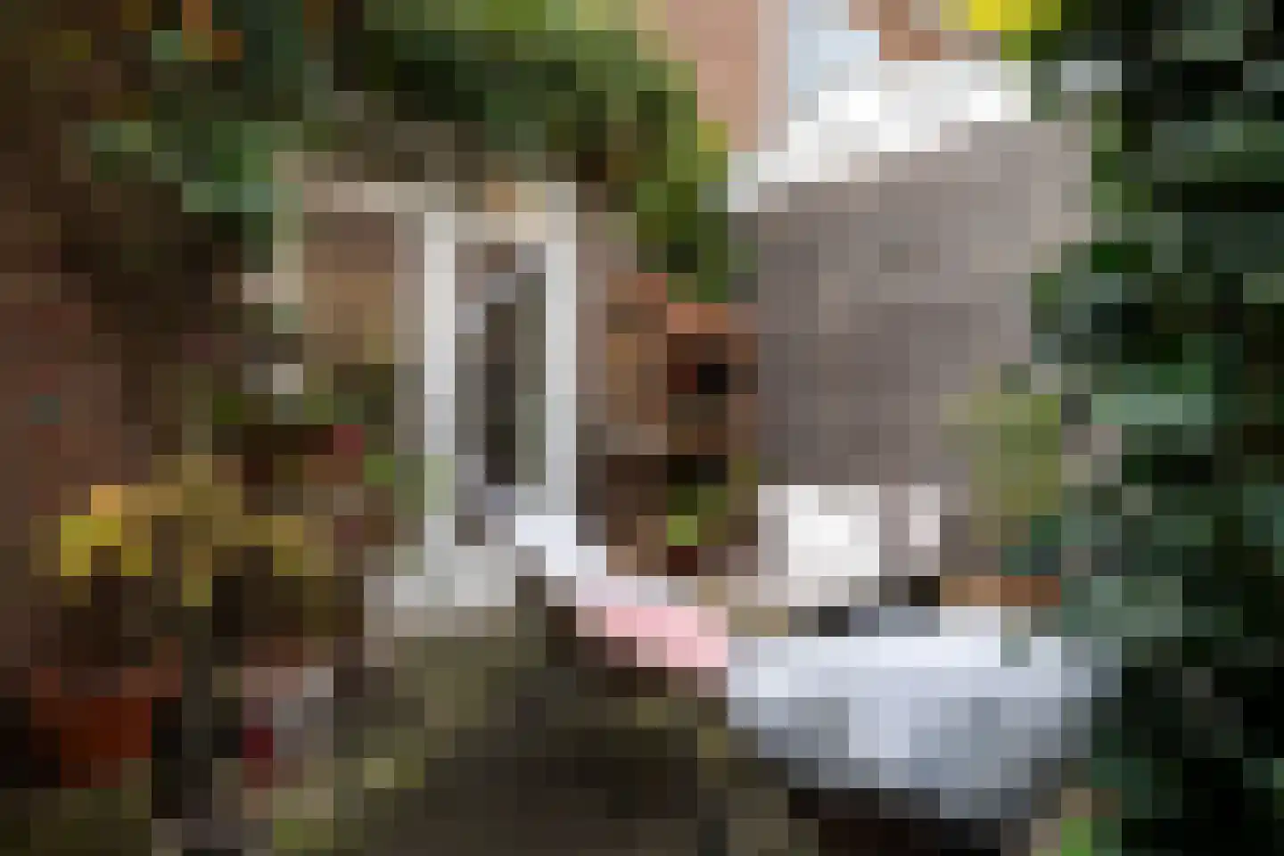 Vondellaan 72 Arnhem thumbnail 19