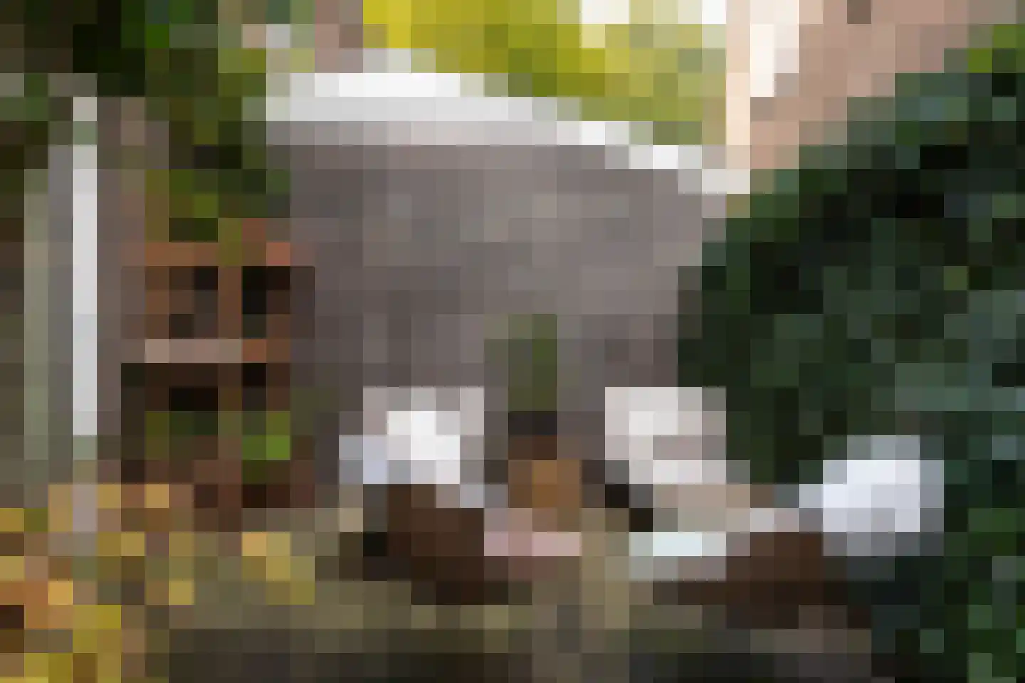 Vondellaan 72 Arnhem thumbnail 20