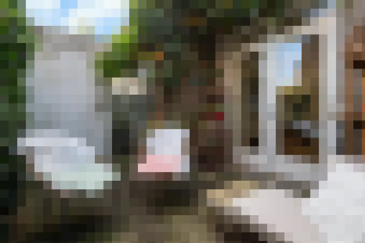 Vondellaan 72 Arnhem thumbnail 21