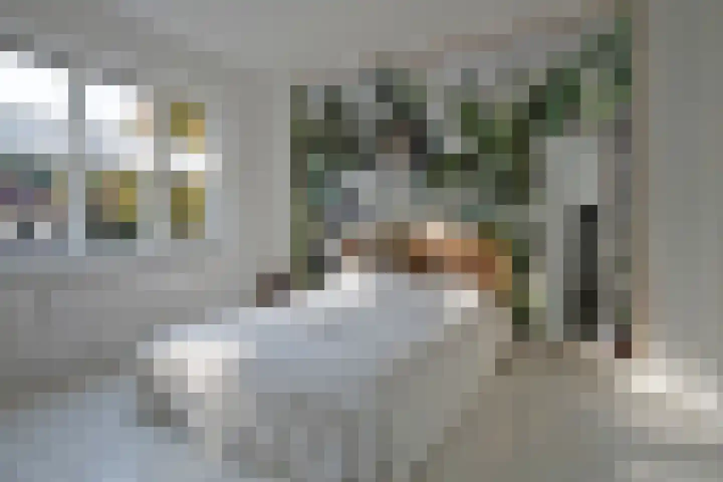 Vondellaan 72 Arnhem thumbnail 28