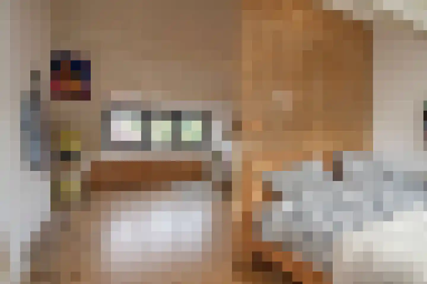 Vondellaan 72 Arnhem thumbnail 36