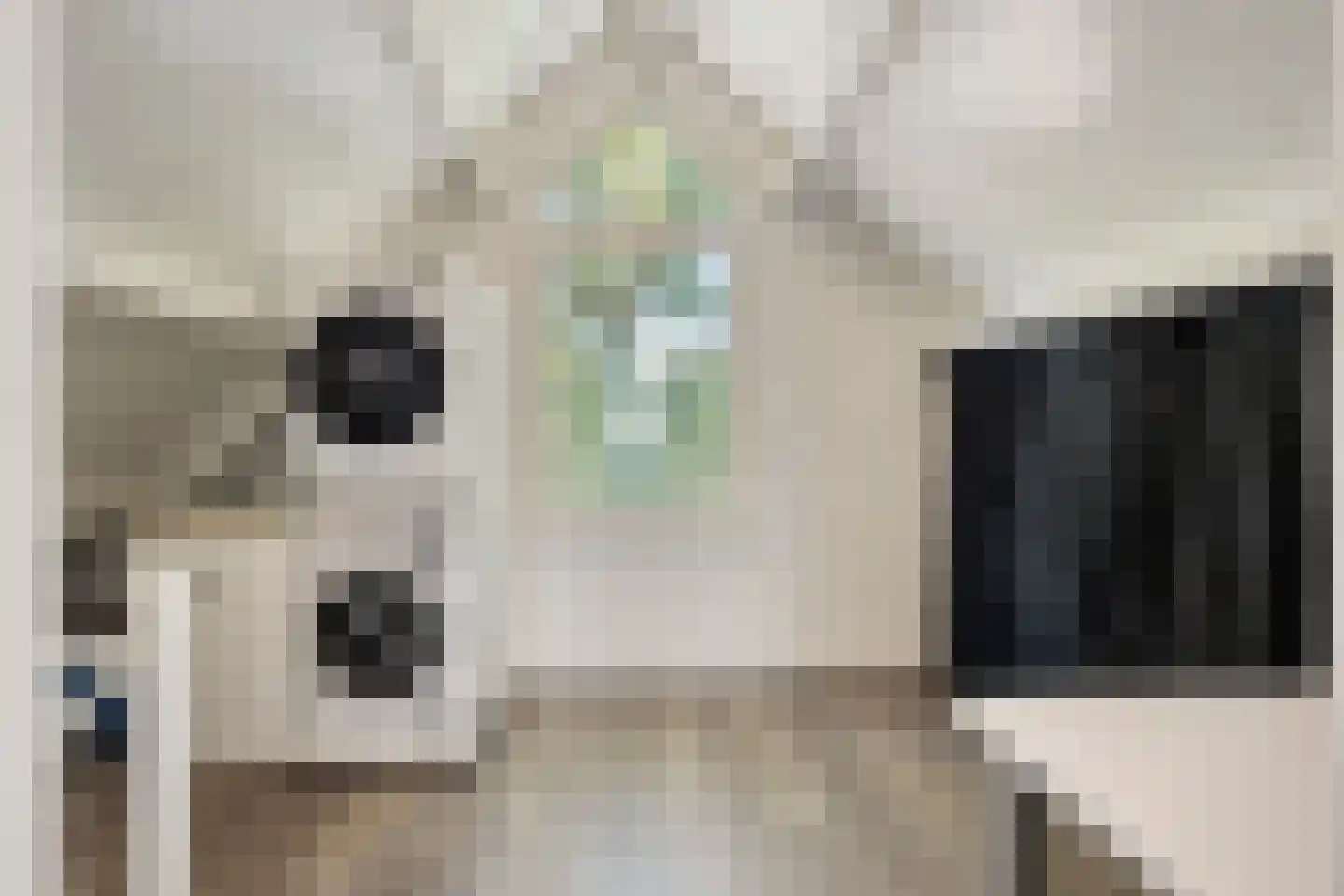 Vondellaan 73 Gemert thumbnail 21