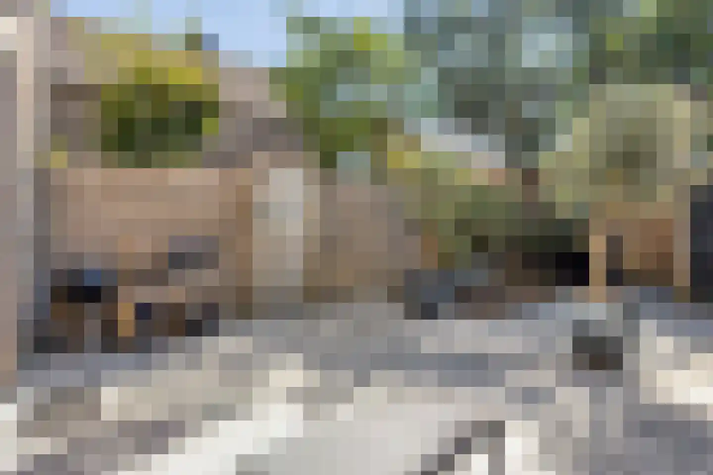 Vondellaan 73 Gemert thumbnail 24