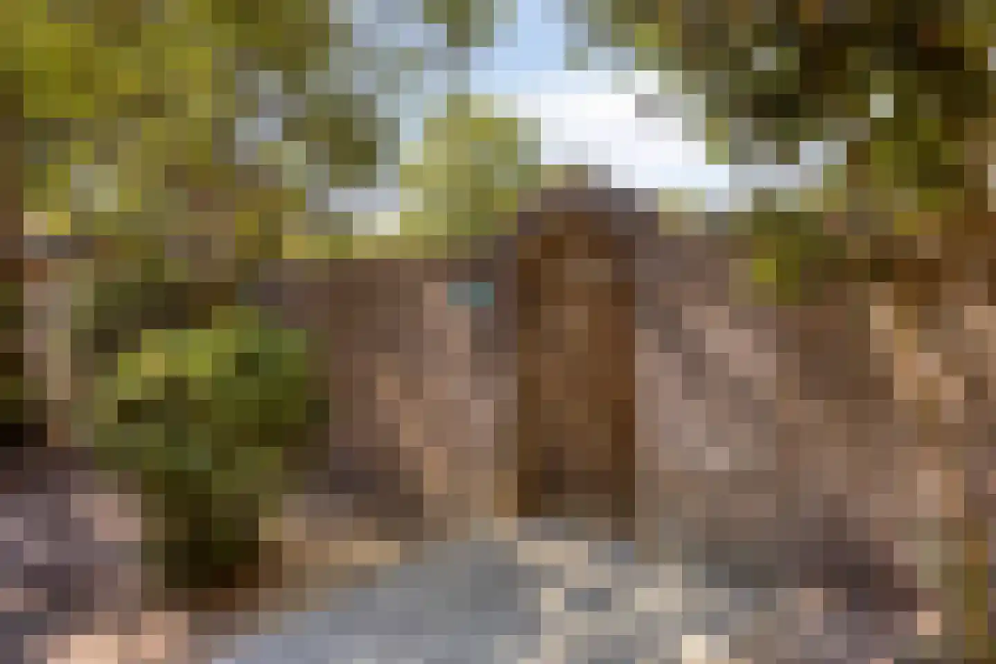Vondellaan 73 Gemert thumbnail 27