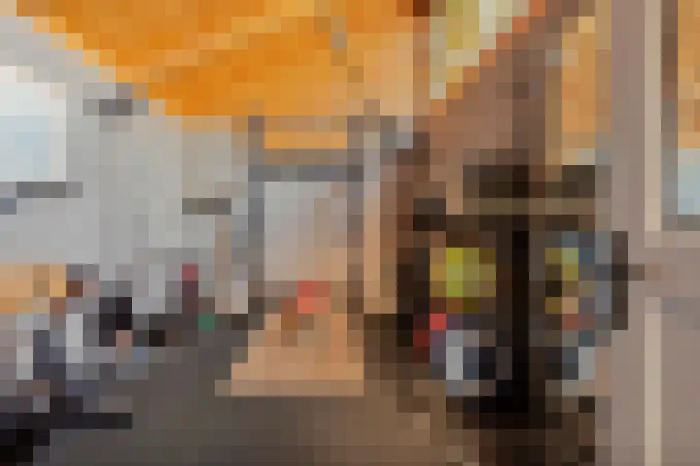 Vondellaan 73 Gemert thumbnail 28