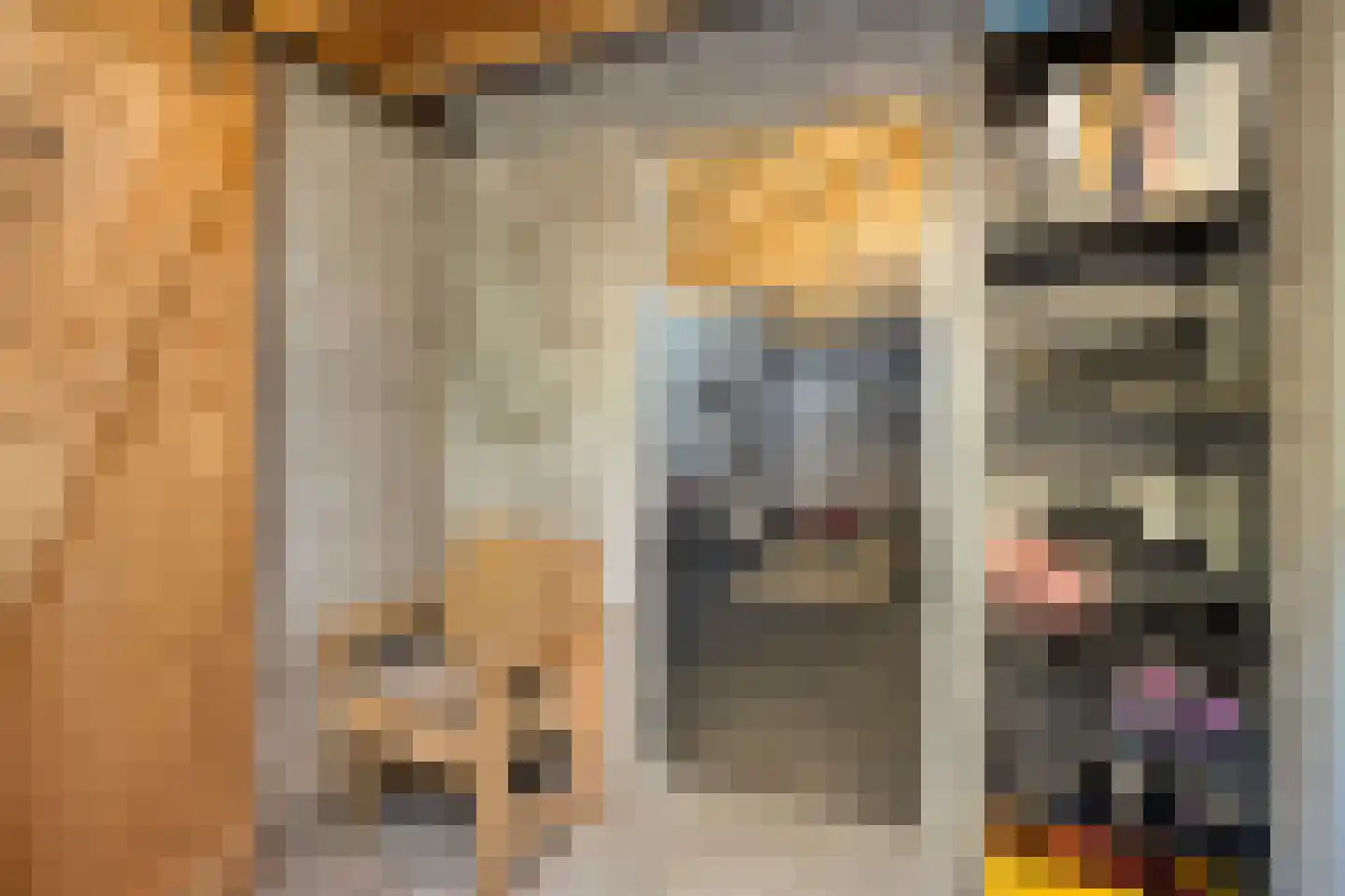 Vondellaan 73 Gemert thumbnail 29
