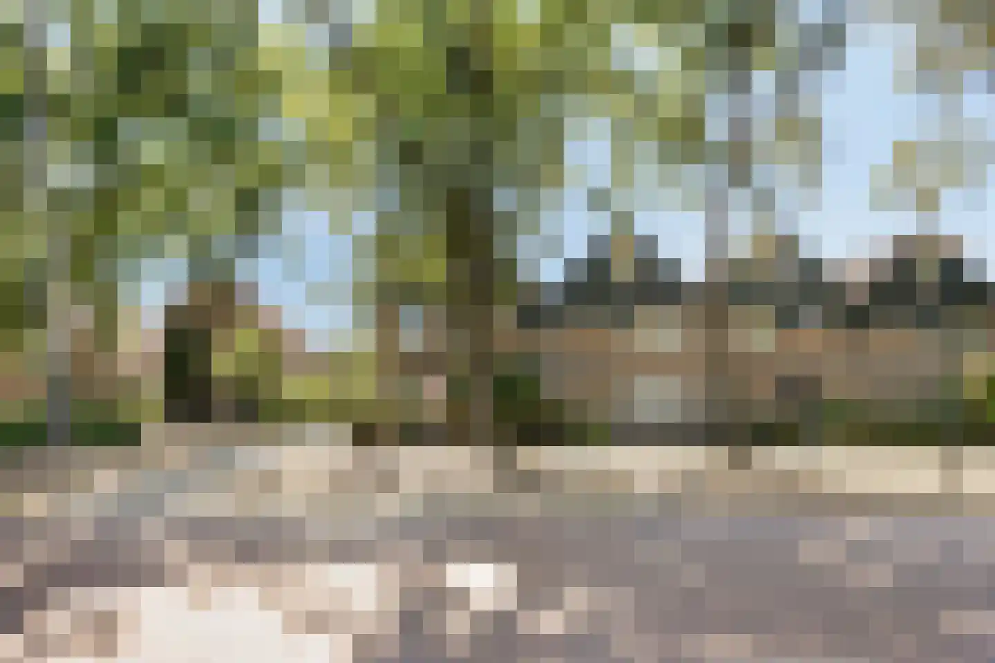Vondellaan 73 Gemert thumbnail 34