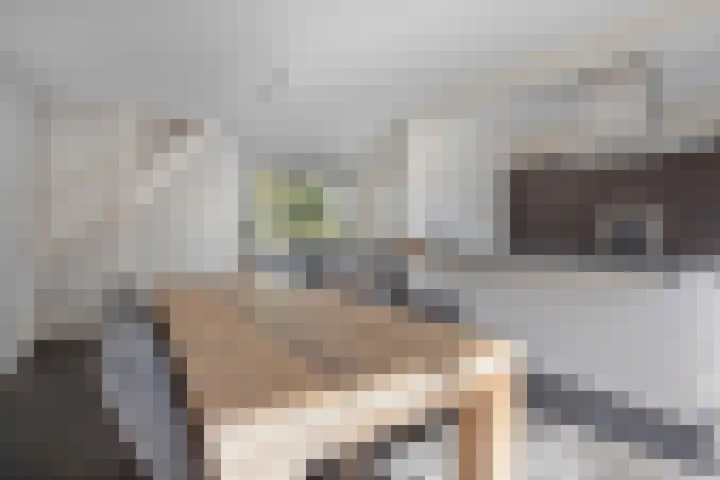 Vondellaan 73 Gemert thumbnail 6