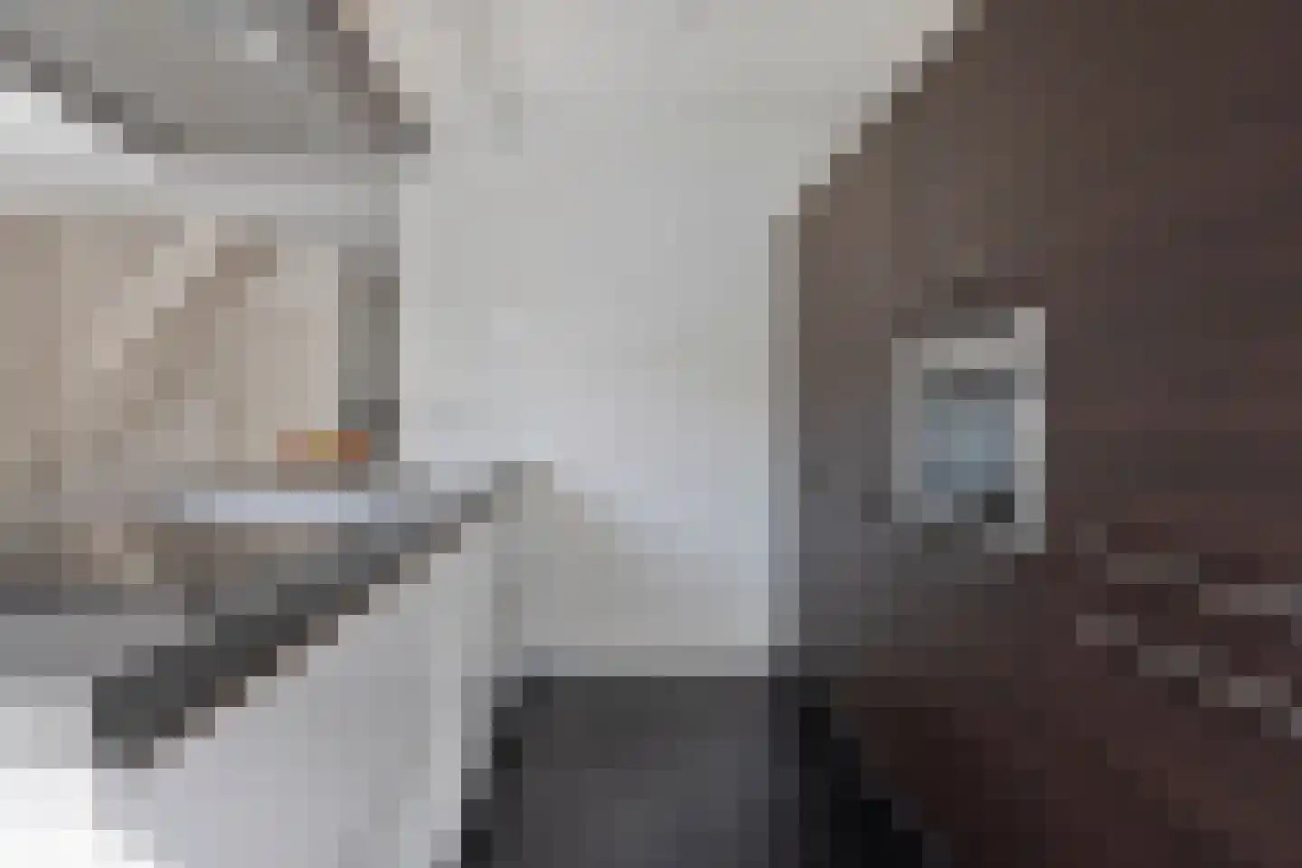 Vondellaan 73 Gemert thumbnail 7