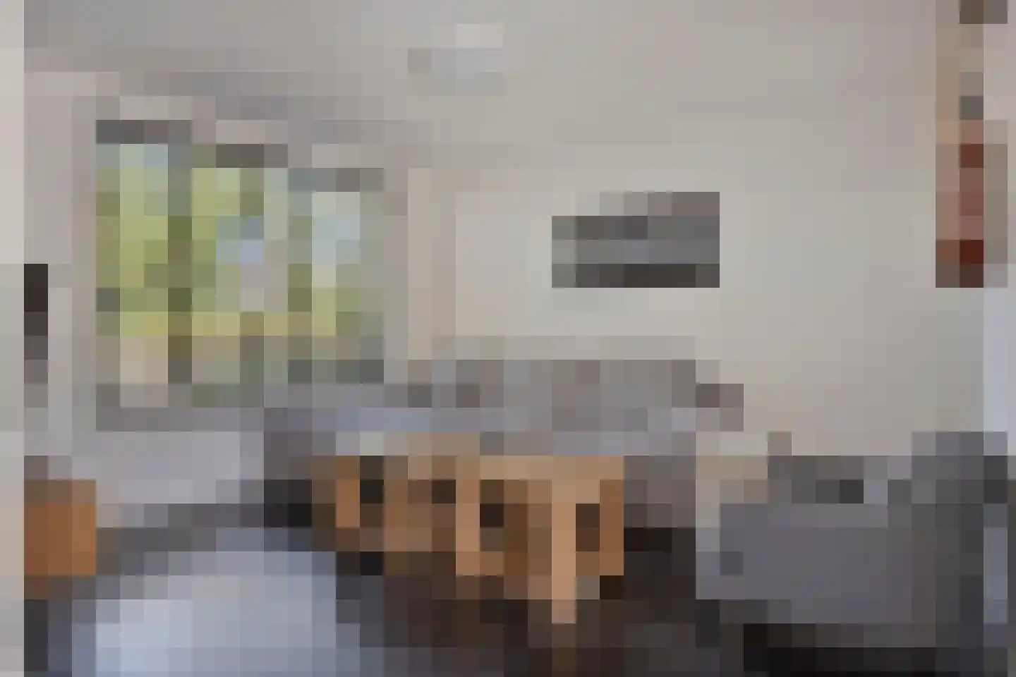 Vondellaan 73 Gemert thumbnail 9