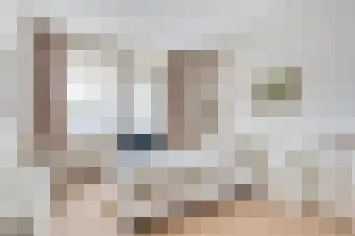 Vondellaan 74 Veenendaal thumbnail 14