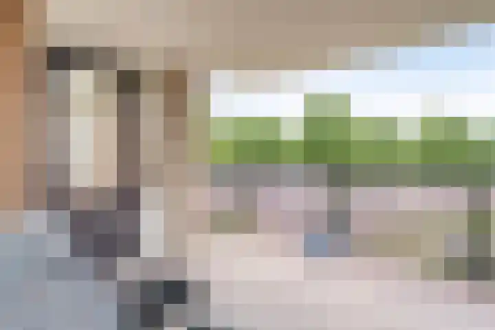 Vondellaan 74 Veenendaal thumbnail 21