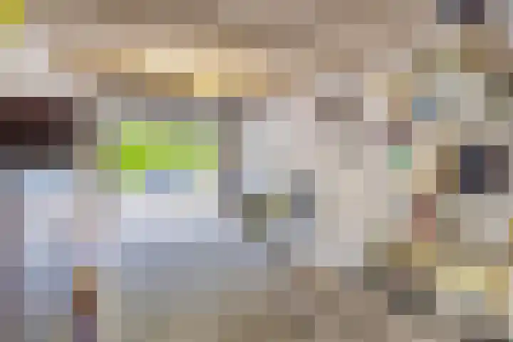 Vondellaan 74 Veenendaal thumbnail 22