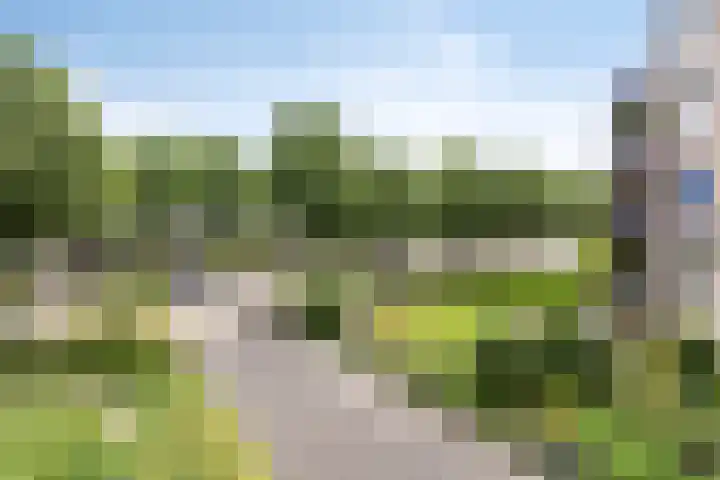 Vondellaan 74 Veenendaal thumbnail 4